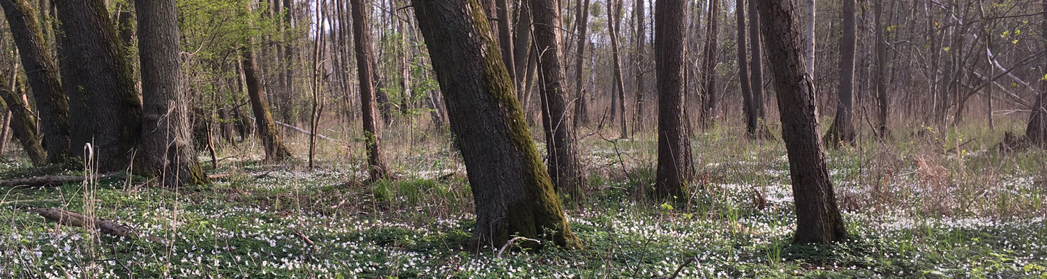 FFH-Gebiet und zu schützende Natur